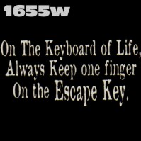 Click to order printed t-shirt 1655w... On the Keyboard of Life, Always Keep one finger On the Escape Key