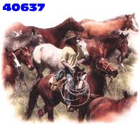 Click here to Order design 40637... Horses. (1st quality t-shirts, sweatshirts, tank tops, baby doll tees, scoop neck tshirts and hooded fleece)