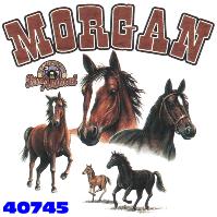 Click here to Order design 40745... Morgan My Favorite Farm Animal. (1st quality t-shirts, sweatshirts, tank tops, baby doll tees, scoop neck tshirts and hooded fleece)