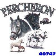 Click here to Order design 40747... Percheron My Favorite Farm Animal. (1st quality t-shirts, sweatshirts, tank tops, baby doll tees, scoop neck tshirts and hooded fleece)