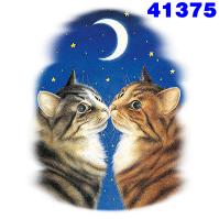 Click to order printed t-shirt 41375... Moonlight Kiss